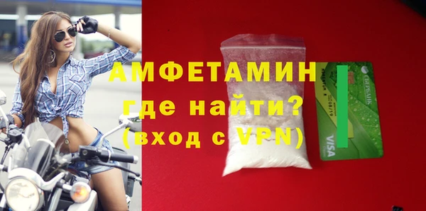 сатива Балахна