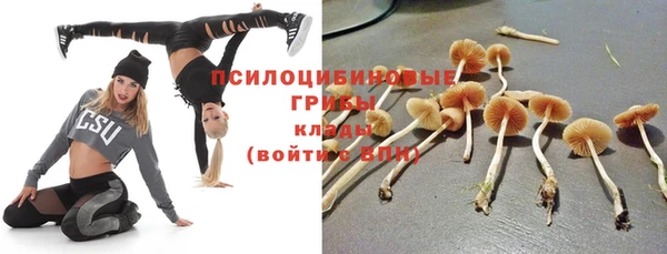сатива Балахна