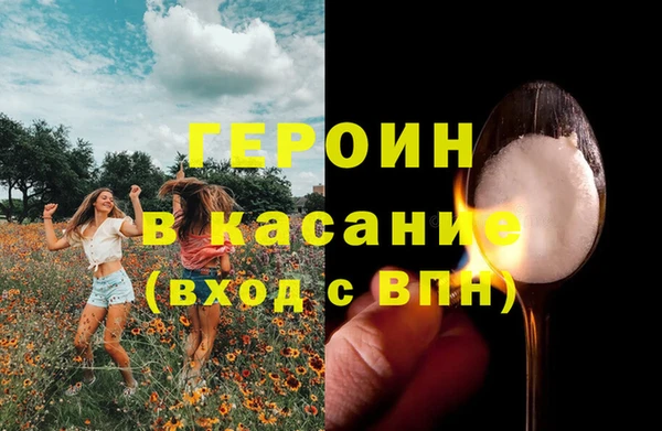 сатива Балахна