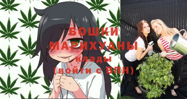 сатива Балахна
