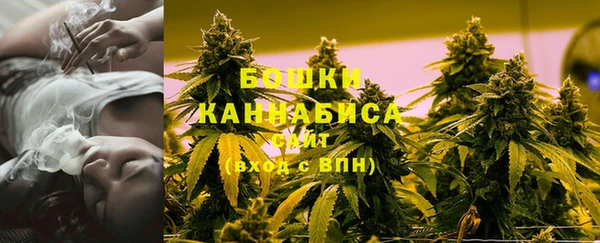 сатива Балахна