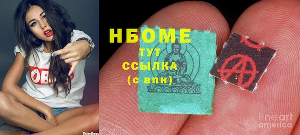 сатива Балахна