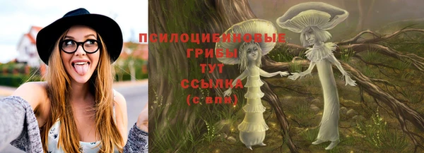 сатива Балахна