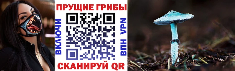 Псилоцибиновые грибы Psilocybe что такое наркотик Заозёрск