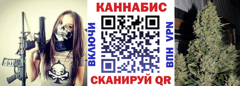 Конопля сатива  нарко площадка официальный сайт  Заозёрск 